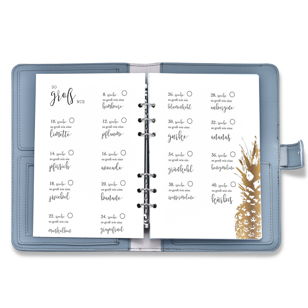 
                  
                    Organizer Schwangerschaftstagebuch DIARY
                  
                